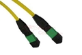 5 M 9/125 OS2 Singlemode MTP/MPO Fiber Patch Cable - 12 Fiber  RamboCables.com