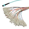 24Fibers 1 M L-com MPO w/Pins to SC Fan-out - OM4 50/125 - LSZH  RamboCables.com