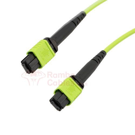 8Fibers 1 M L-com MPO Fiber Cable - No pins - Type A - OM5 50/125 - ONFR  RamboCables.com