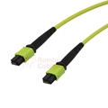 24Fibers 50 M L-com MPO Fiber Cable - No pins - Type B - OM5 50/125 - ONFR  RamboCables.com