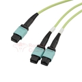 OM5 5 M L-com 24 Fiber MPO No Pins to 2x12 Fiber MPO No Pins - 50/125 Multimode - ONFR  RamboCables.com