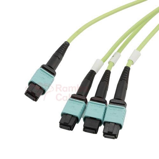 OM5 1 M L-com 24 Fiber MPO No Pins to 3x8 Fiber MPO No Pins - 50/125 Multimode - ONFR  RamboCables.com