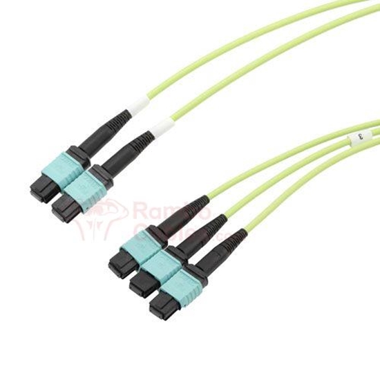 OM5 10 M L-com 3x8 Fiber MPO No Pins to 2x12 Fiber MPO No Pins - 50/125 Multimode - LSZH  RamboCables.com